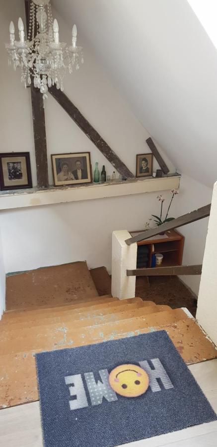 Ferienwohnung Salamander Pirna Eksteriør bilde
